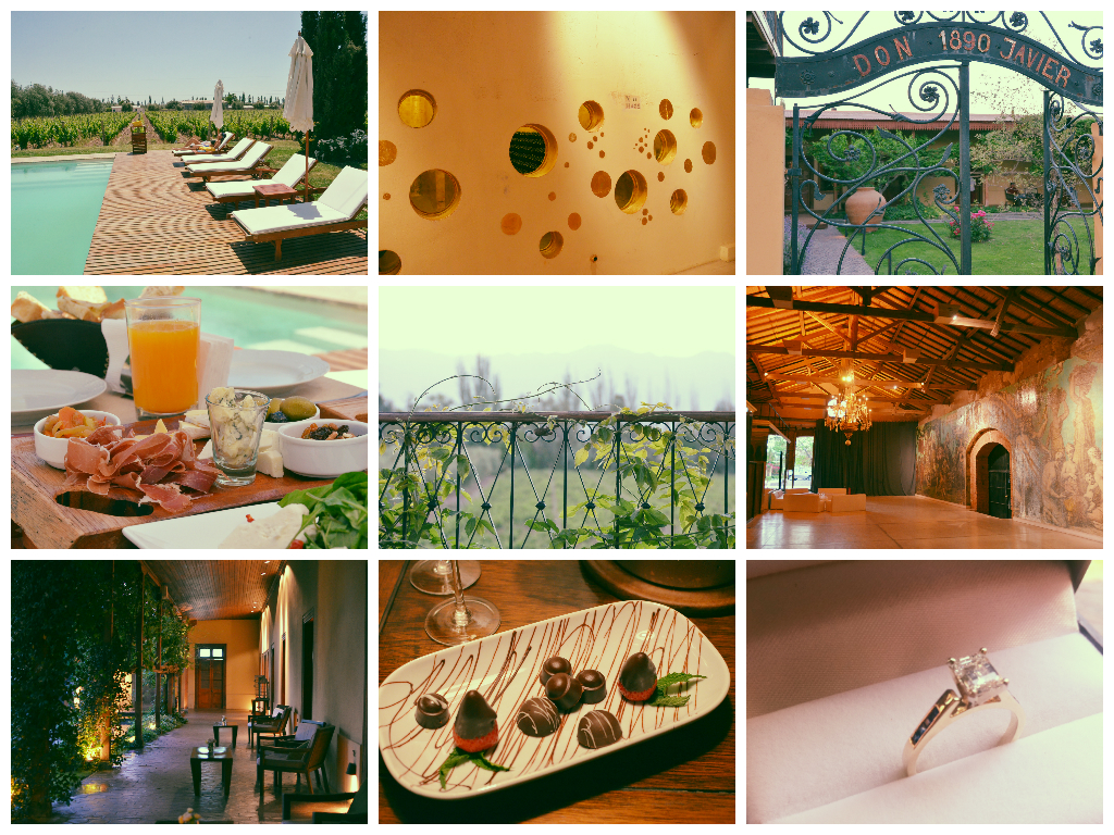 mendoza proposal argentina wine country malbec she said yes winery vineyard estance club tapiz
